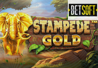 Stampede Gold